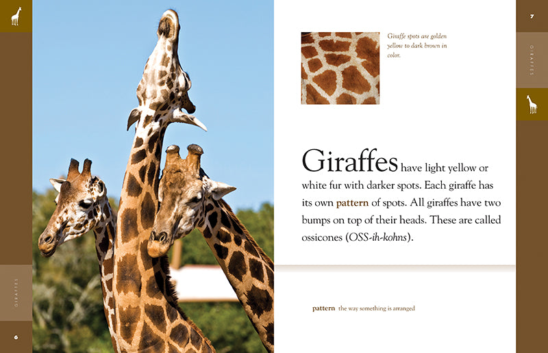 Giraffes Book 9781640262034 - Wildlife Education for Kids & Adults | Perfect for School Projects, Animal Lovers & Nature Enthusiasts