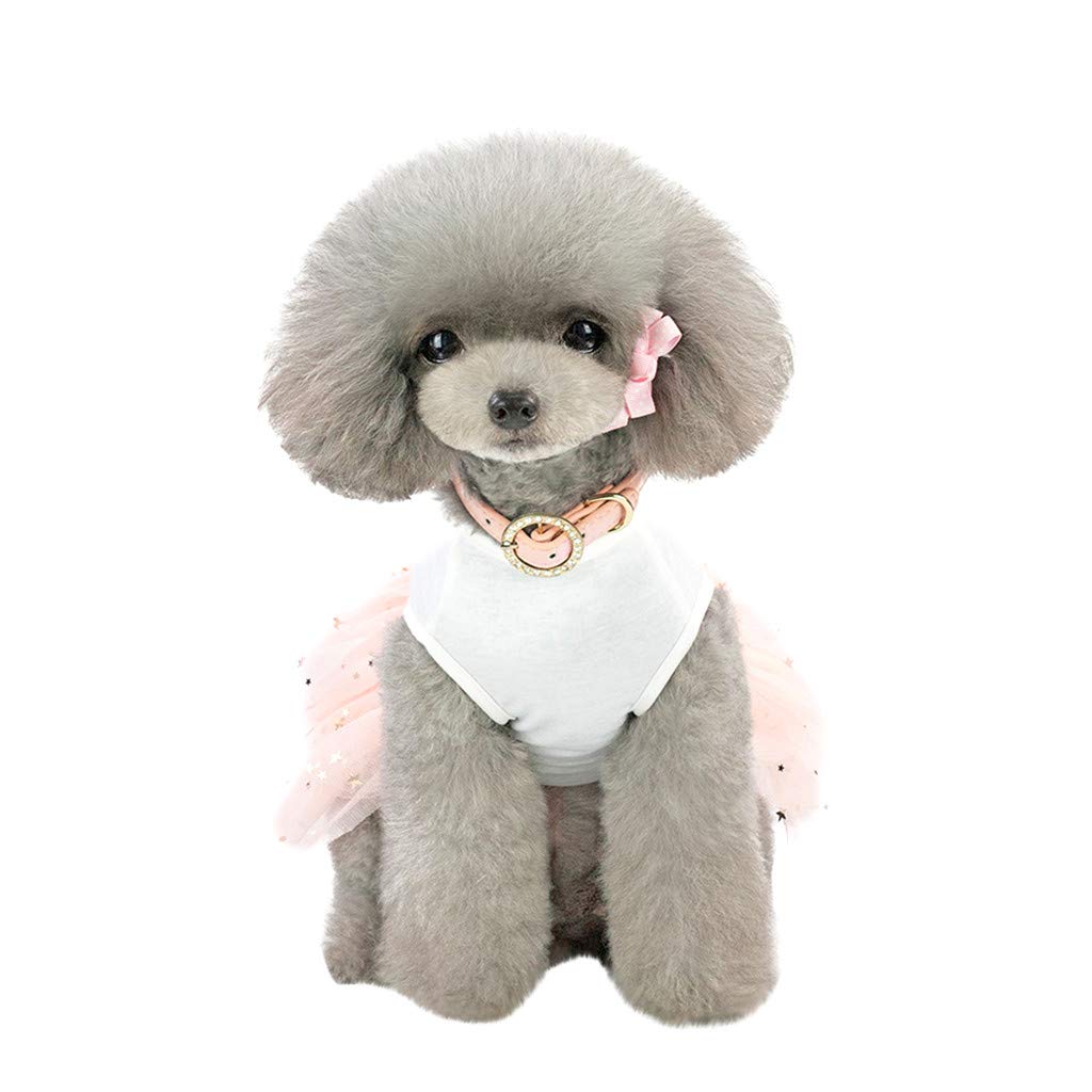 Breathable Pet Shirts for Dogs & Cats - Letter Printing Casual Outfits for Daily Wear