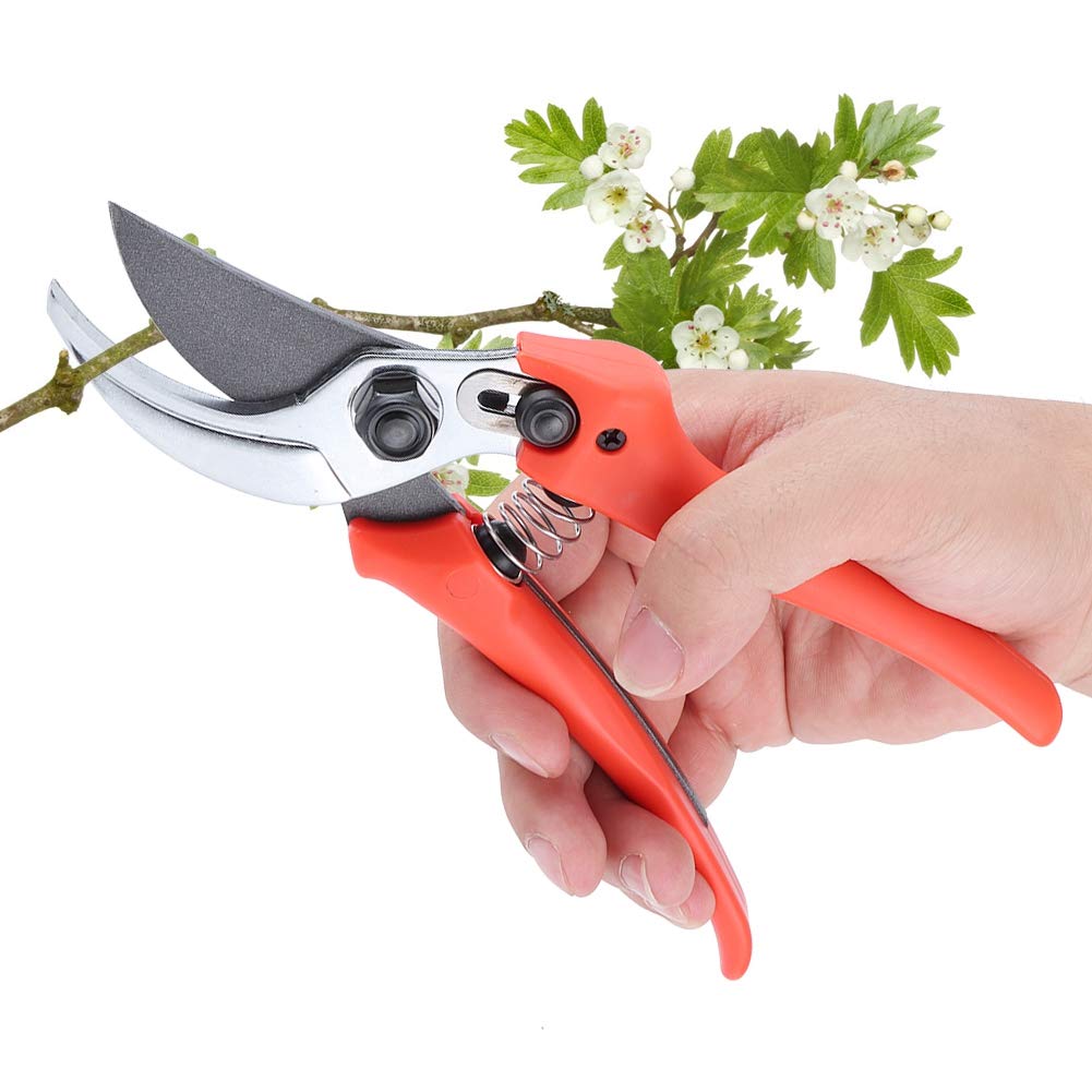Premium Stainless Steel Garden Pruners - Sharp Professional Pruning Shears for Plants, Trees, Branches & Flowers | Ideal for Gardening, Landscaping & Outdoor Trimming | Durable Gardening Scissors for Home & Professional Use