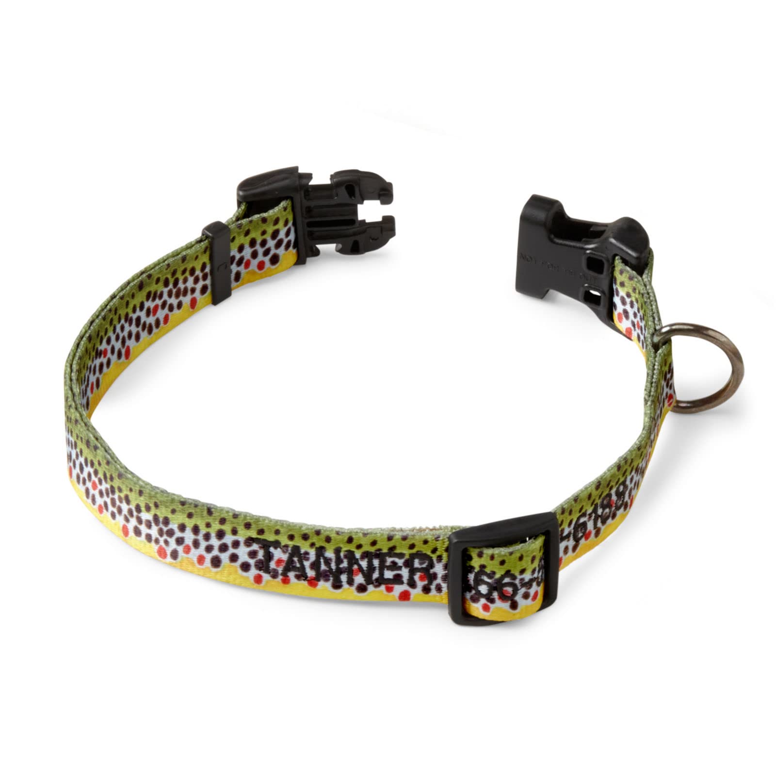Orvis Adjustable Dog Collar for Small, Medium & Large Breeds - Comfortable & Durable Pet Collar for Walking, Training & Outdoor Adventures