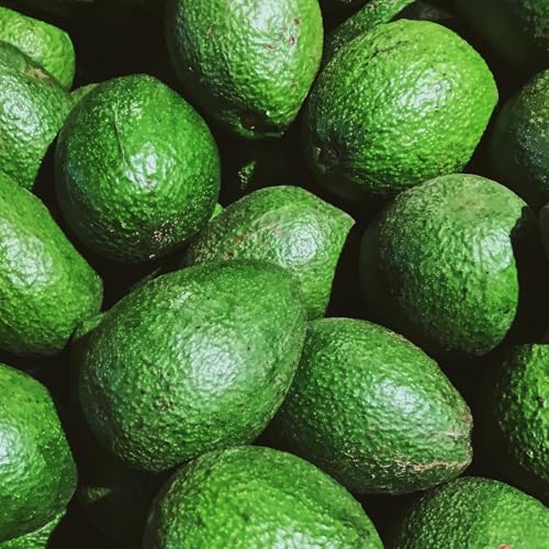 Avocado Oil