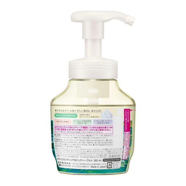 Biore Antibacterial Foaming Hand Soap - Refreshing Forest Scent, 9.5oz Pump Bottle | Kills 99.9% Germs | Moisturizing & Gentle for Daily Hand Washing at Home, Office, or Travel