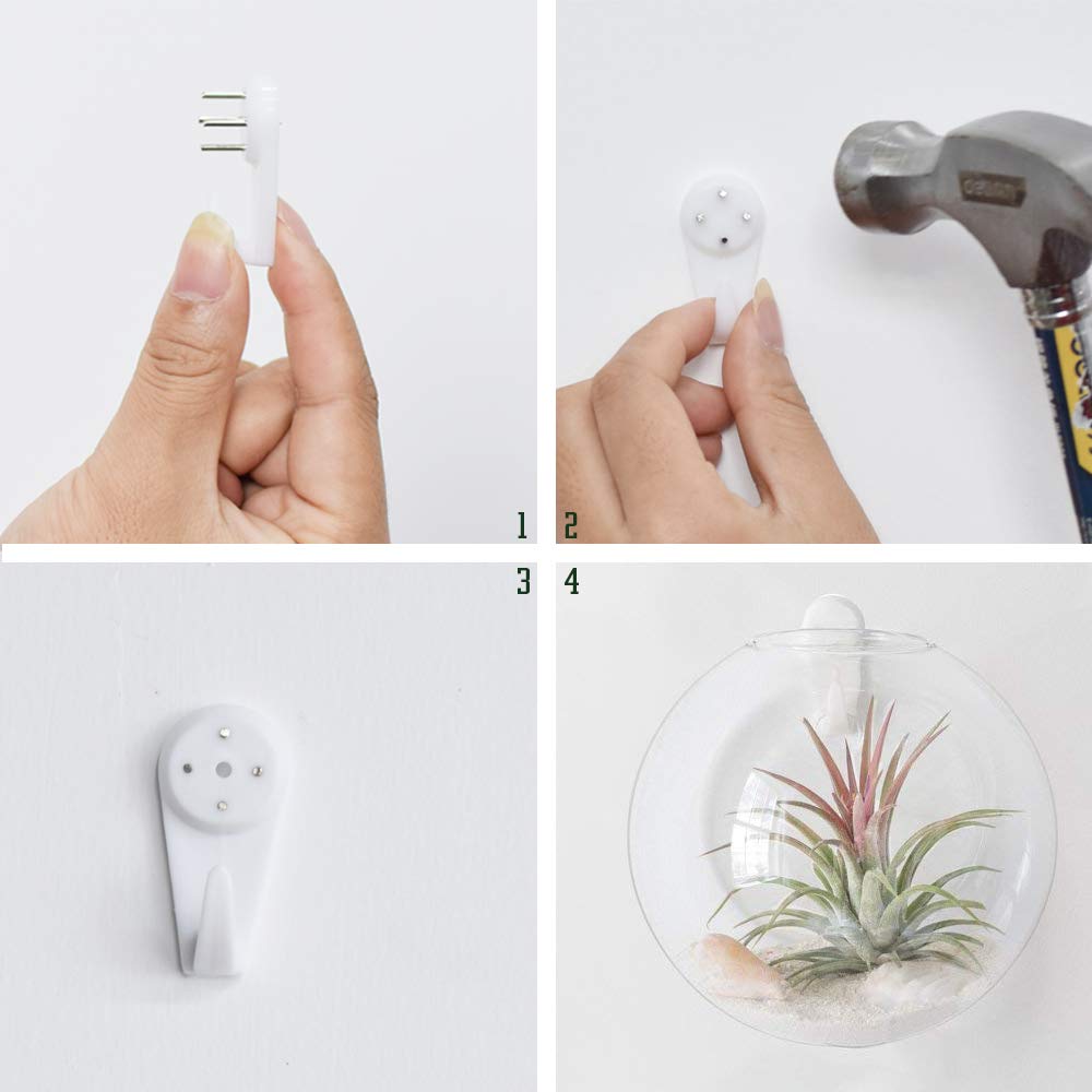 6 Pack Round Glass Wall Hanging Planters - Air Plant Terrariums & Flower Vase for Indoor/Outdoor Decor - Perfect for Succulents, Herbs & Home Garden Display