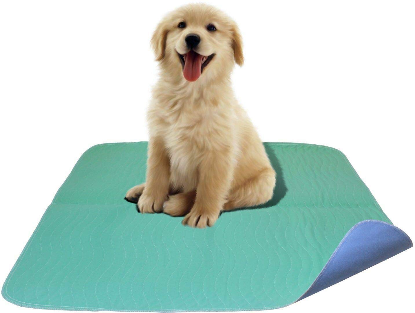 Careoutfit 2 Pack Premium Waterproof Reusable Washable Large Dog Puppy Training Pads - 34