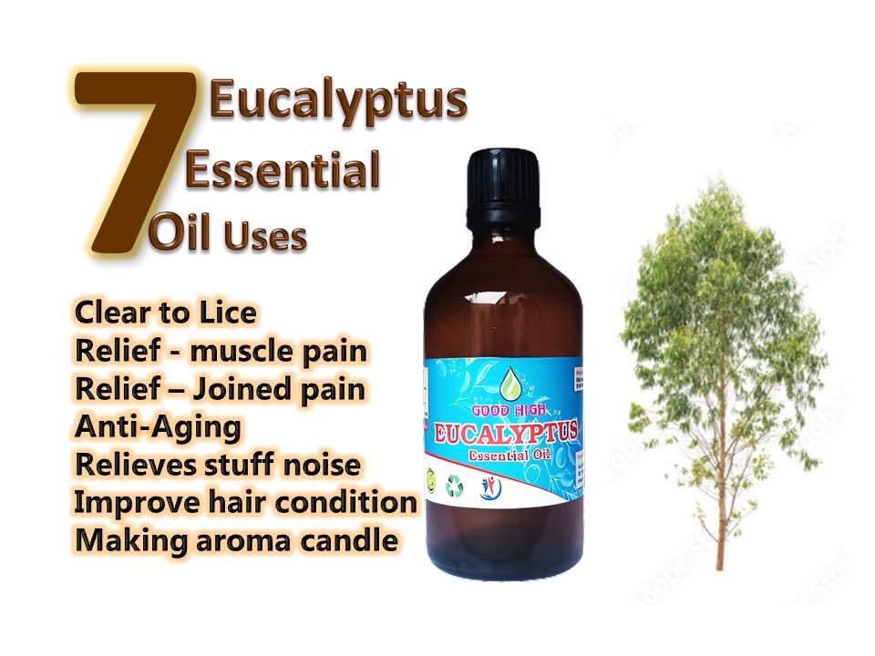100% Pure Natural Organic Eucalyptus Essential Oil - Undiluted & Therapeutic Grade for Aromatherapy, Massage & Skin Care - 50 mL Bottle for Relaxation & Wellness