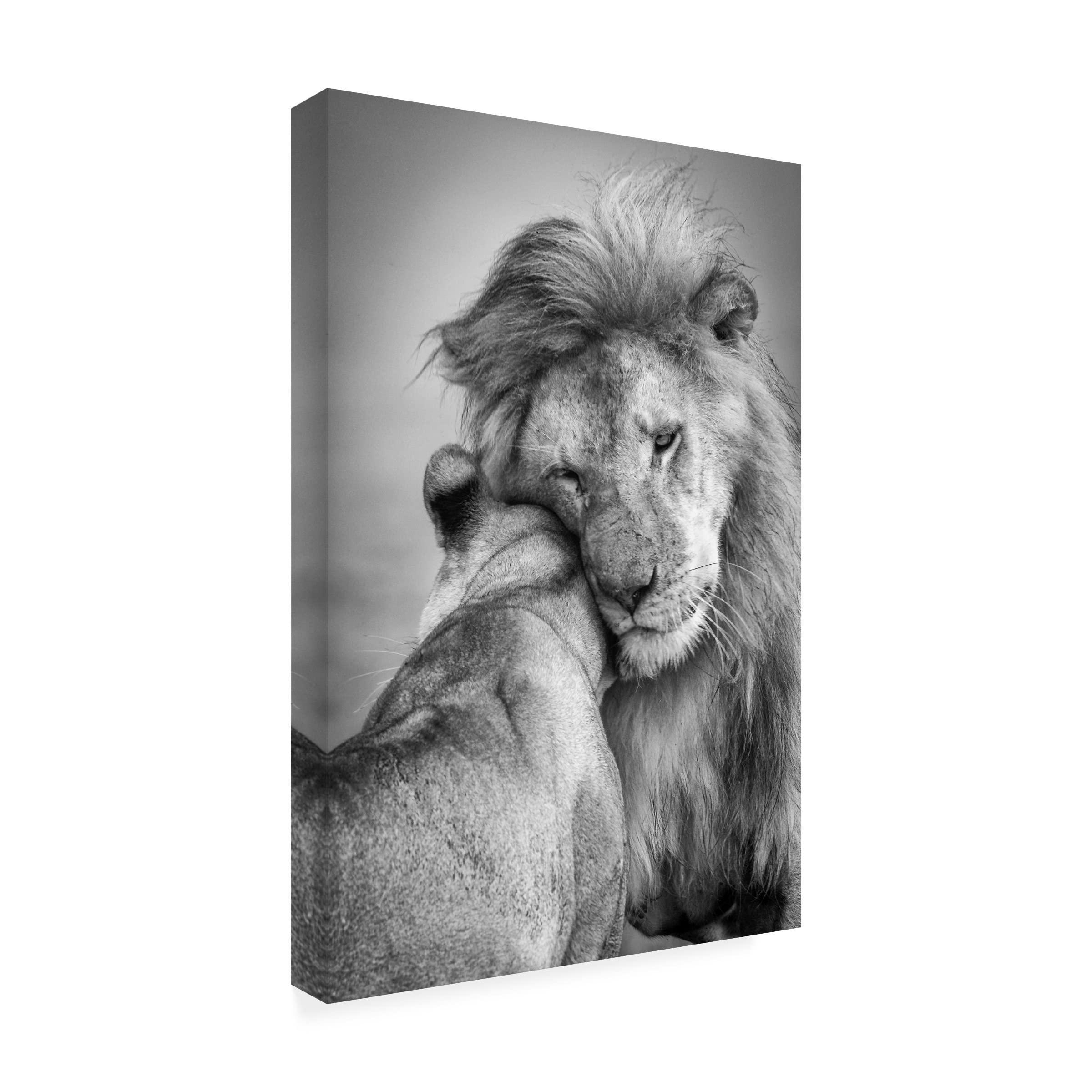 Trademark Fine Art 'African Love' Canvas Wall Art by Ali Khataw - Hand-Painted African Inspired Home Decor for Living Room, Bedroom & Office