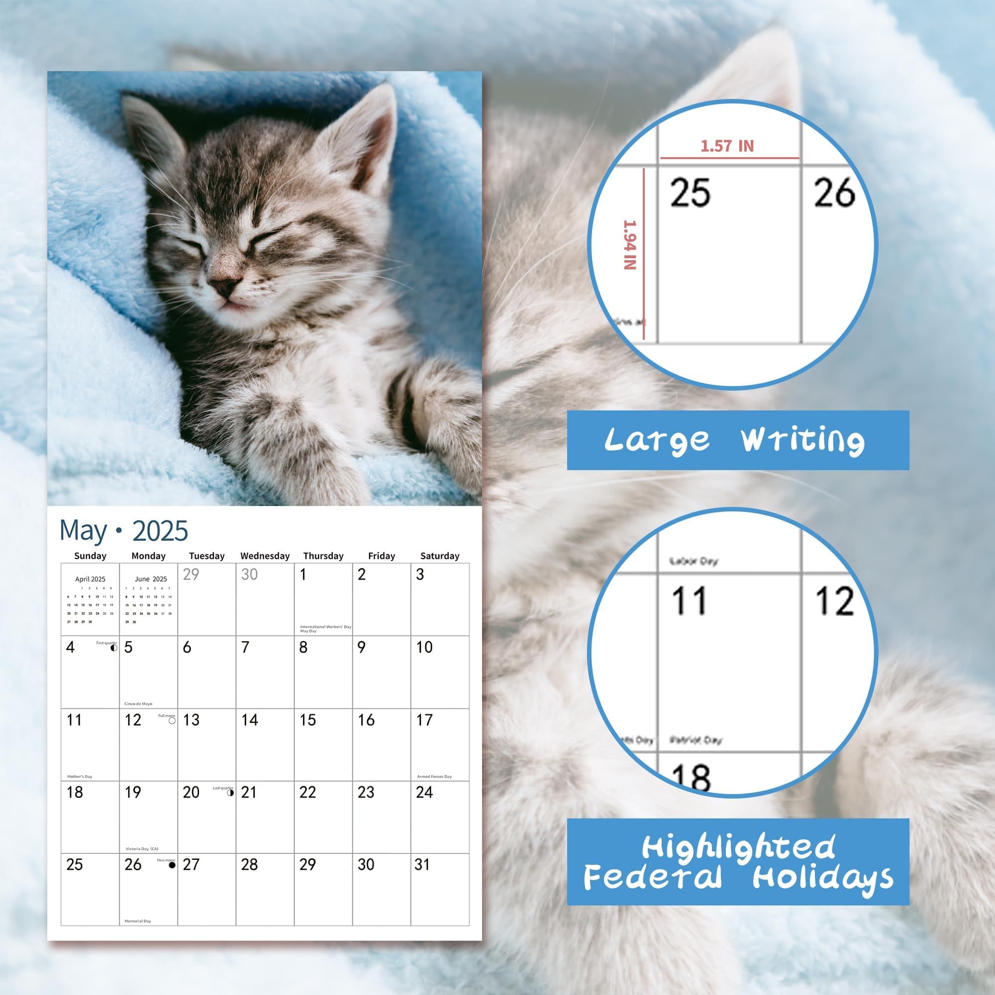 2025 Wall Calendar with Adorable Baby Kittens - January to December 2025 | 12