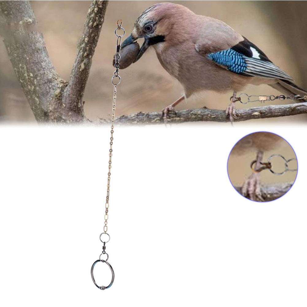 **Stainless Steel Bird Training Harness & Anklet – Rustproof, Adjustable for Parrots, Cockatiels – Perfect for Outdoor Flight Training & Home Safety**