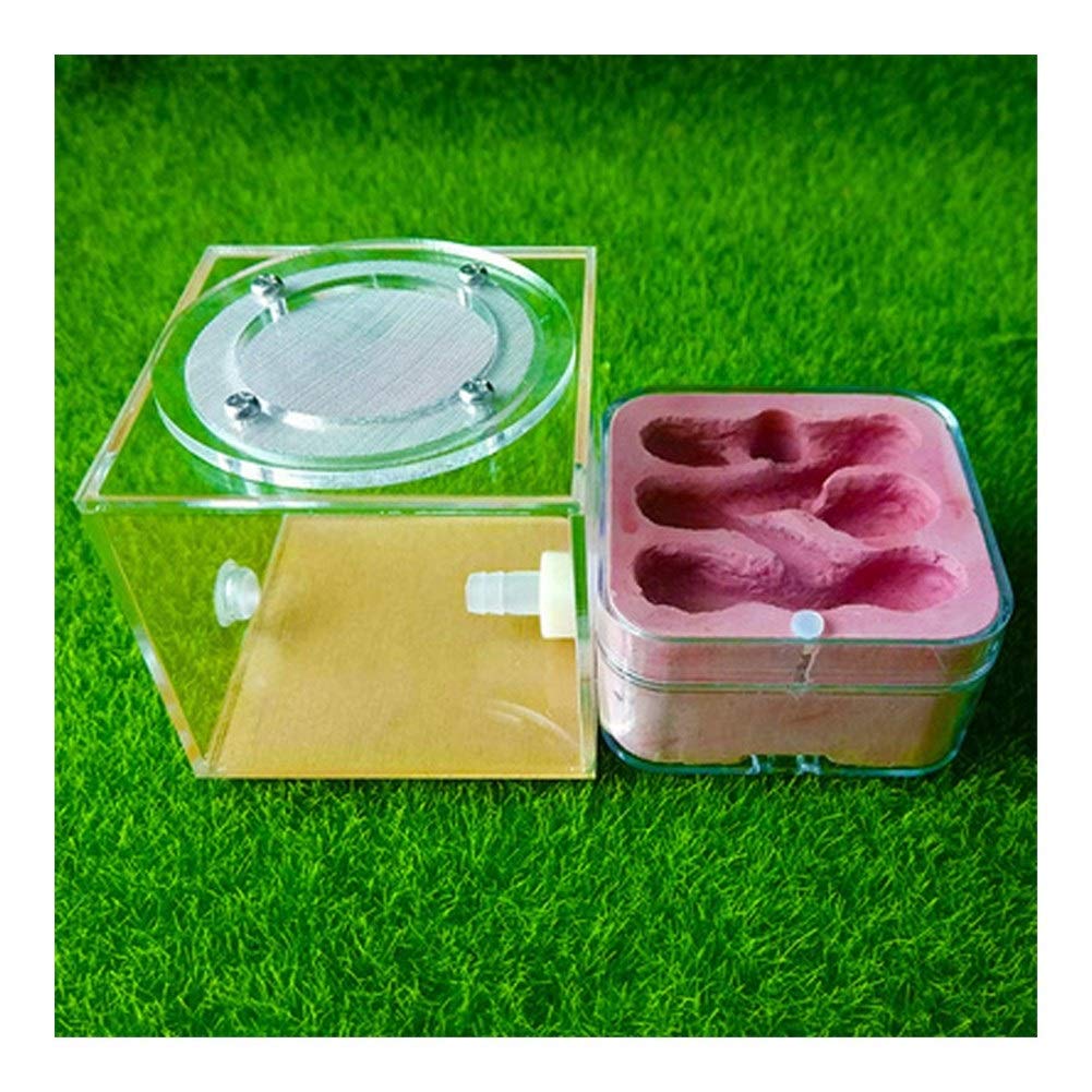 LLNN Acrylic Ant Farm Kit - DIY Insect Villa Habitat for Kids, Educational Science Toy with Easy Setup, Feeding & Hydration Box - Perfect for Birthday Gifts & STEM Learning (Color: B) | Fun Classroom Project & Home Nature Exploration Activity