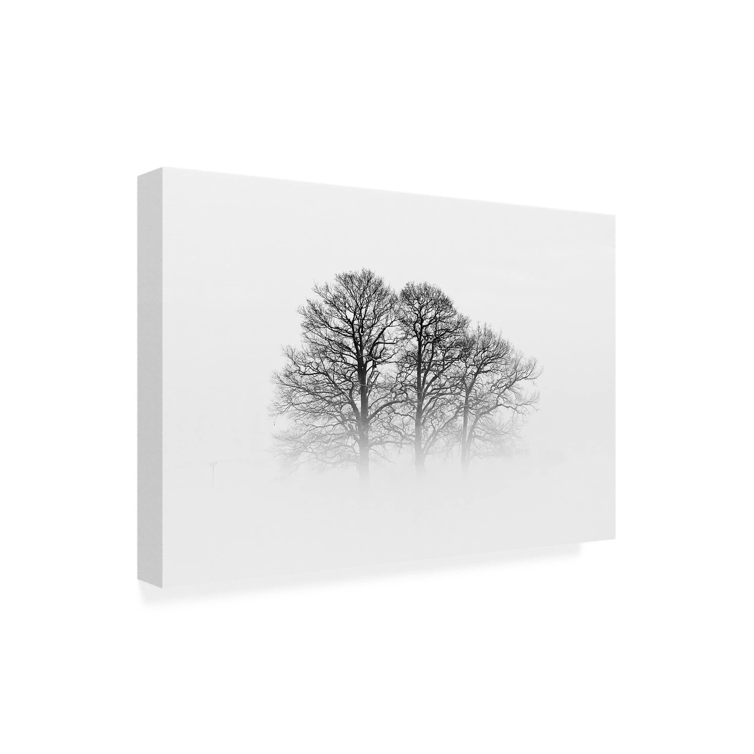 Oliver Buchmann 'A Hazy Shade of Winter' Canvas Wall Art Print - Modern Landscape Painting for Living Room, Bedroom & Office Decor
