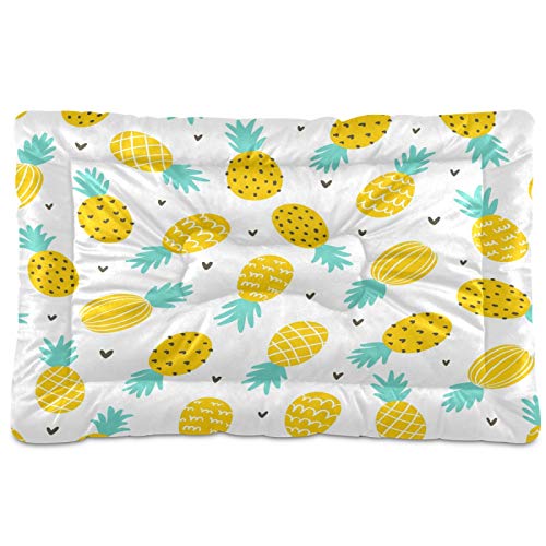 Pineapple And Hearts