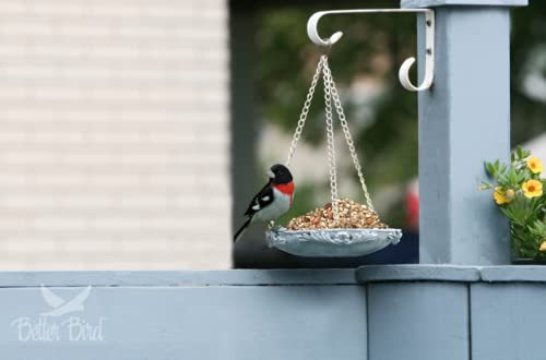 Premium Wild Bird Food - 5 Lb Bag | Nutritious Seed Mix for Backyard Birds | Attracts Cardinals, Finches & Bluebirds | Perfect for Bird Feeders & Garden Feeding Stations