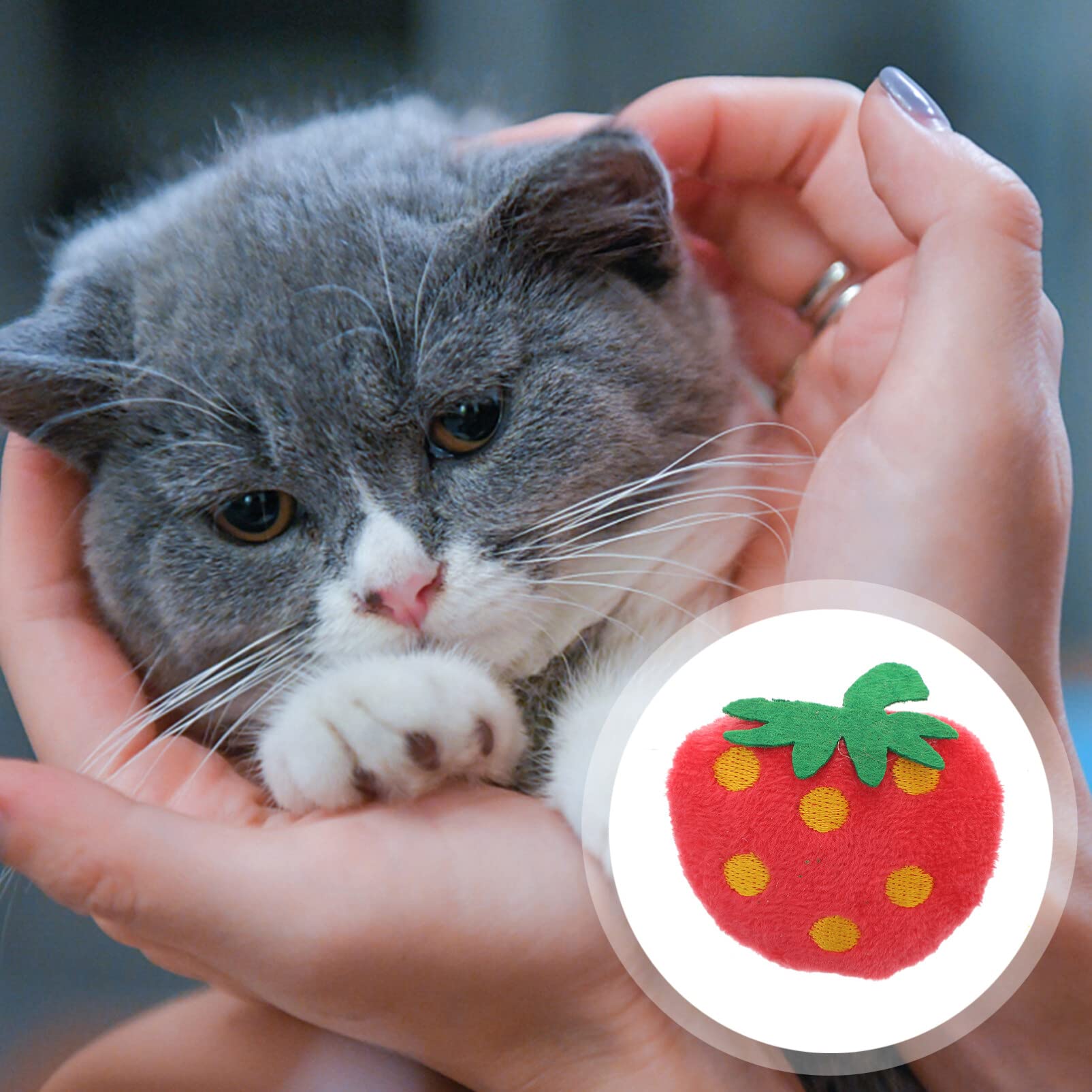 10pcs Cat Toys for Indoor Cats - Plush Chew Sticks & Squeaky Strawberry Toys for Kittens & Small Dogs - Perfect for Playtime, Teething & Stress Relief