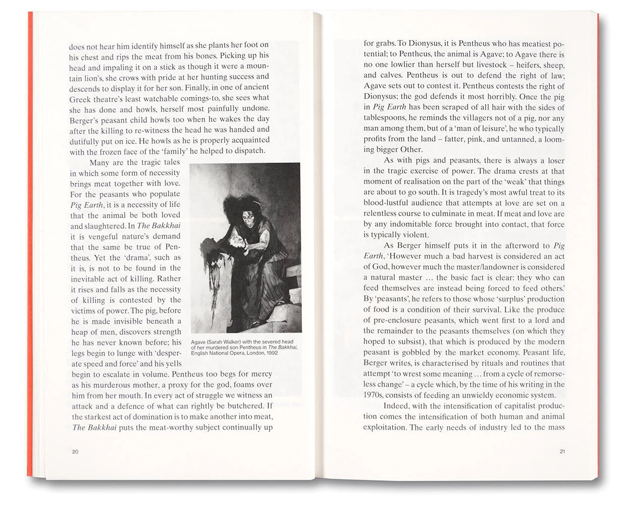 Meat Love: An Ideology of the Flesh by Amber Husain - A Philosophical Exploration of Carnal Desire for Book Clubs & Cultural Studies