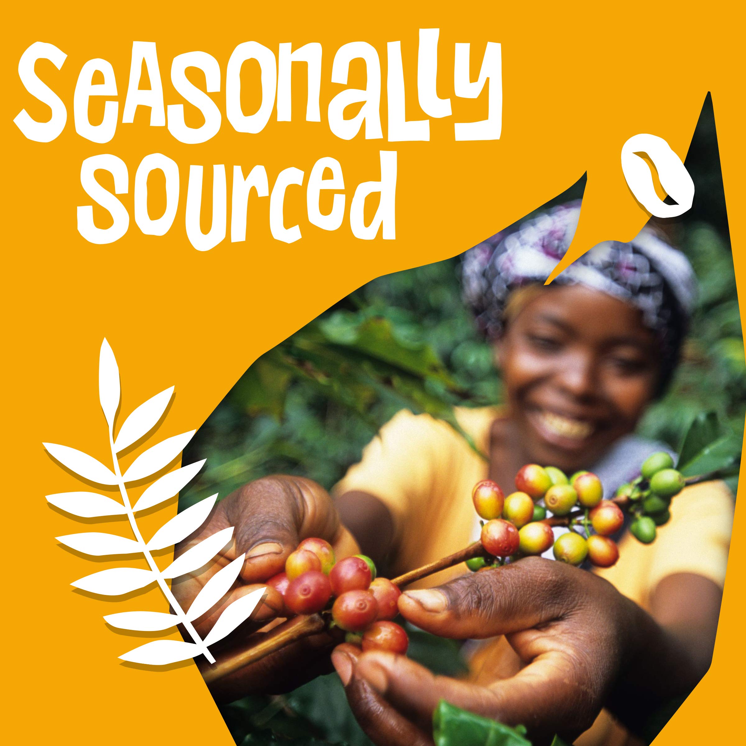 Fairtrade Organic Arabica Coffee - Sweet Espresso Medium Dark Roast for Home & Office Brewing