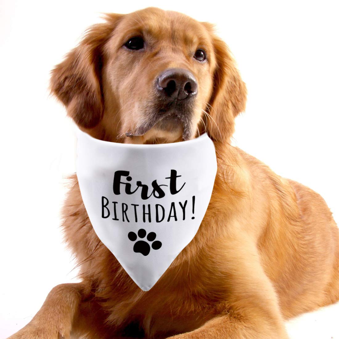 2 Pack Dog Bandana for 1st Birthday - Its My Birthday Party Accessory for Puppy & Cat - Cute Pet Bandanas for Birthday Celebrations & Photo Shoots