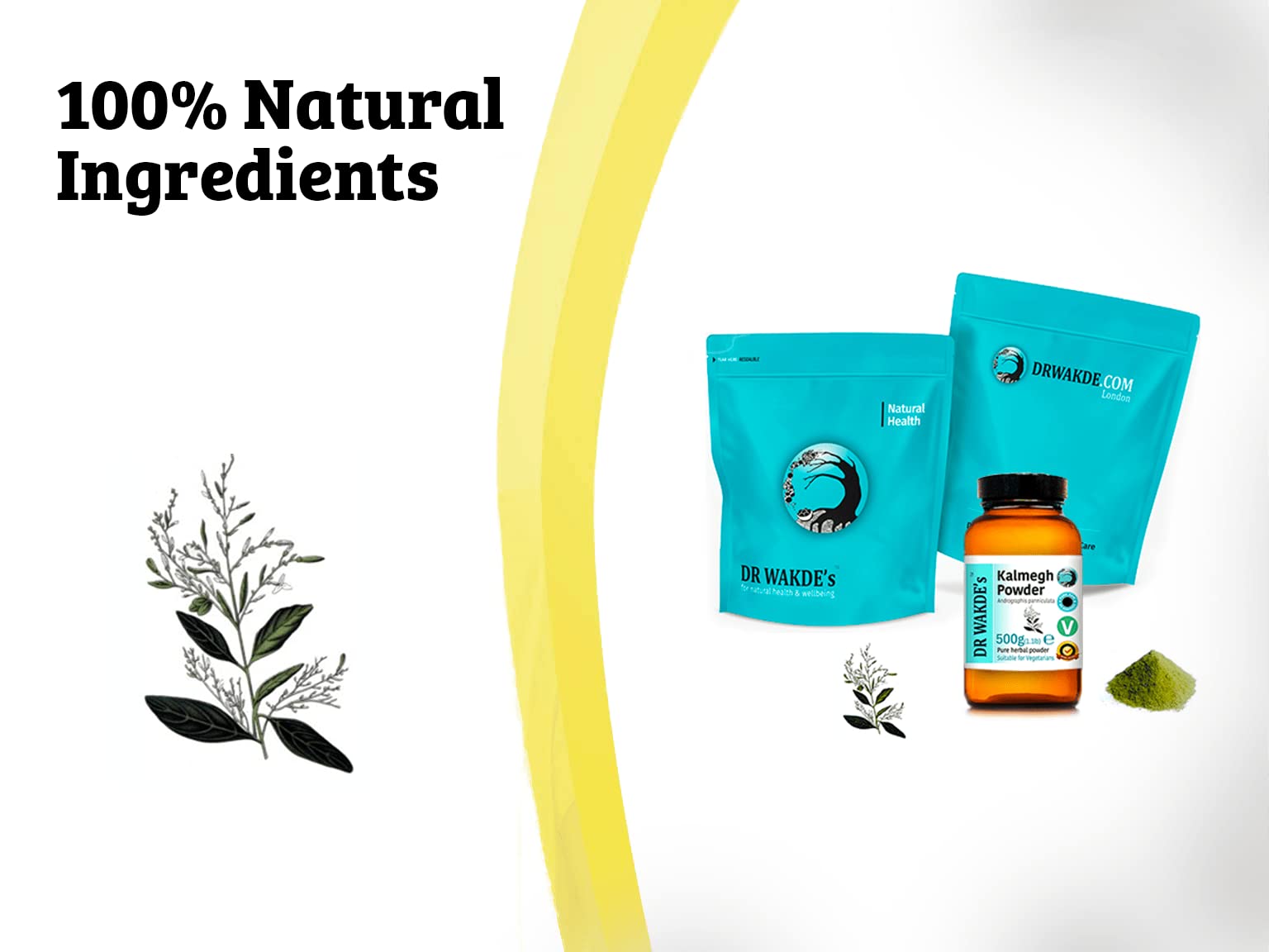 DR WAKDE'S Organic Kalmegh Powder (Andrographis paniculata) - 100g (3.5oz) | Pure Raw Dried Herbal Supplement | Natural Immune Support | Vegan, Non-GMO, Gluten-Free | Premium Grade Ayurvedic Remedy | Perfect for Teas, Smoothies & Wellness Routines