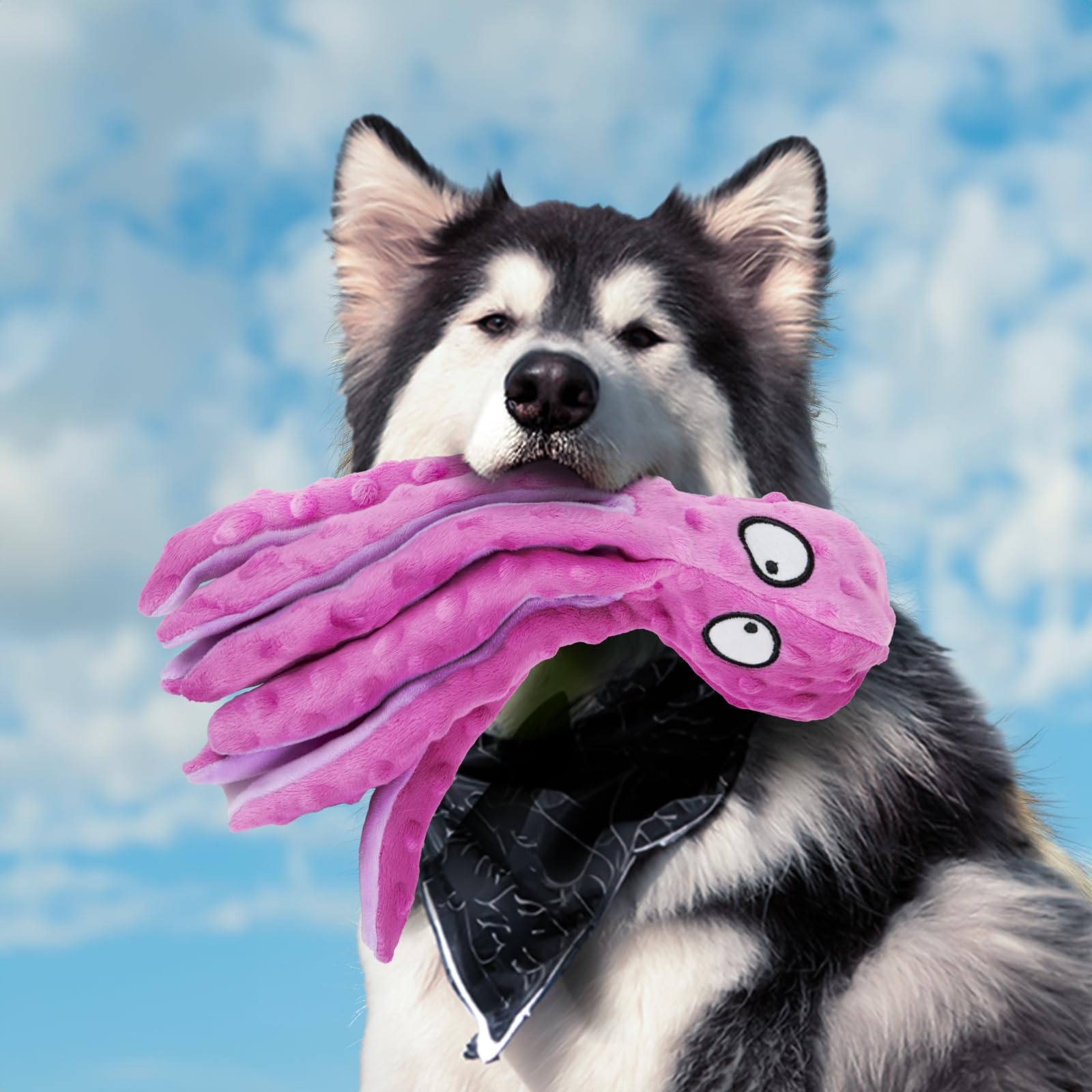 2 Pack Squeaky Dog Toys - Octopus Plush Chew Toys for Small, Medium & Large Dogs | No Stuffing Crinkle Pet Toys for Teething, Interactive Play & Training | Durable Puppy Chew Toys for Indoor & Outdoor Use