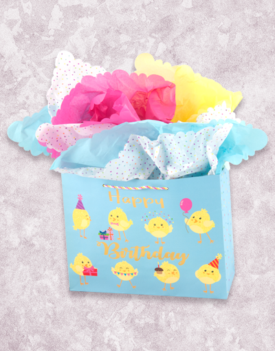 Birthday Party Chick-Themed Gift Bags - Fun Easter & Spring Celebration Favors for Kids - Perfect for Classroom Treats, Baby Showers & Birthday Party Goodie Bags