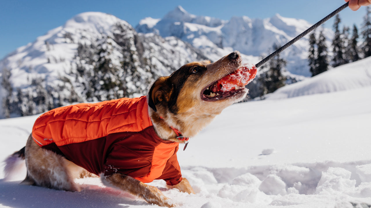Ruffwear® Huck a Cone® Naranja Salamandra (Salamander Orange) - Durable Fetch, Toss & Bounce Dog Toy for Outdoor Play, Training and Water Fun | Interactive Play for Dogs at Parks, Beaches & Backyards