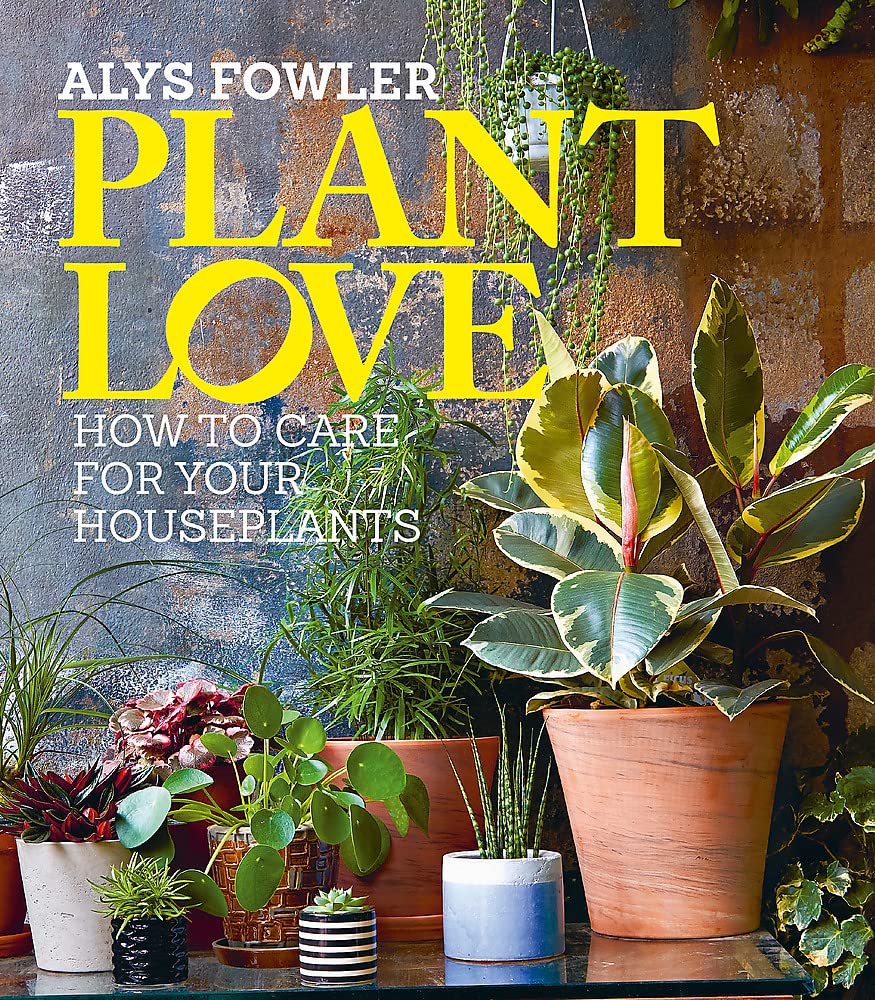 Plant Love - Premium Indoor Plants for Home & Office Decor | Best Houseplants for Air Purification & Aesthetic Spaces
