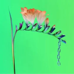 Flume Skin Companion Vinyl EP - Limited Edition Electronic Music Record for Collectors & Fans | Perfect for Home Listening, DJ Sets & Music Enthusiasts