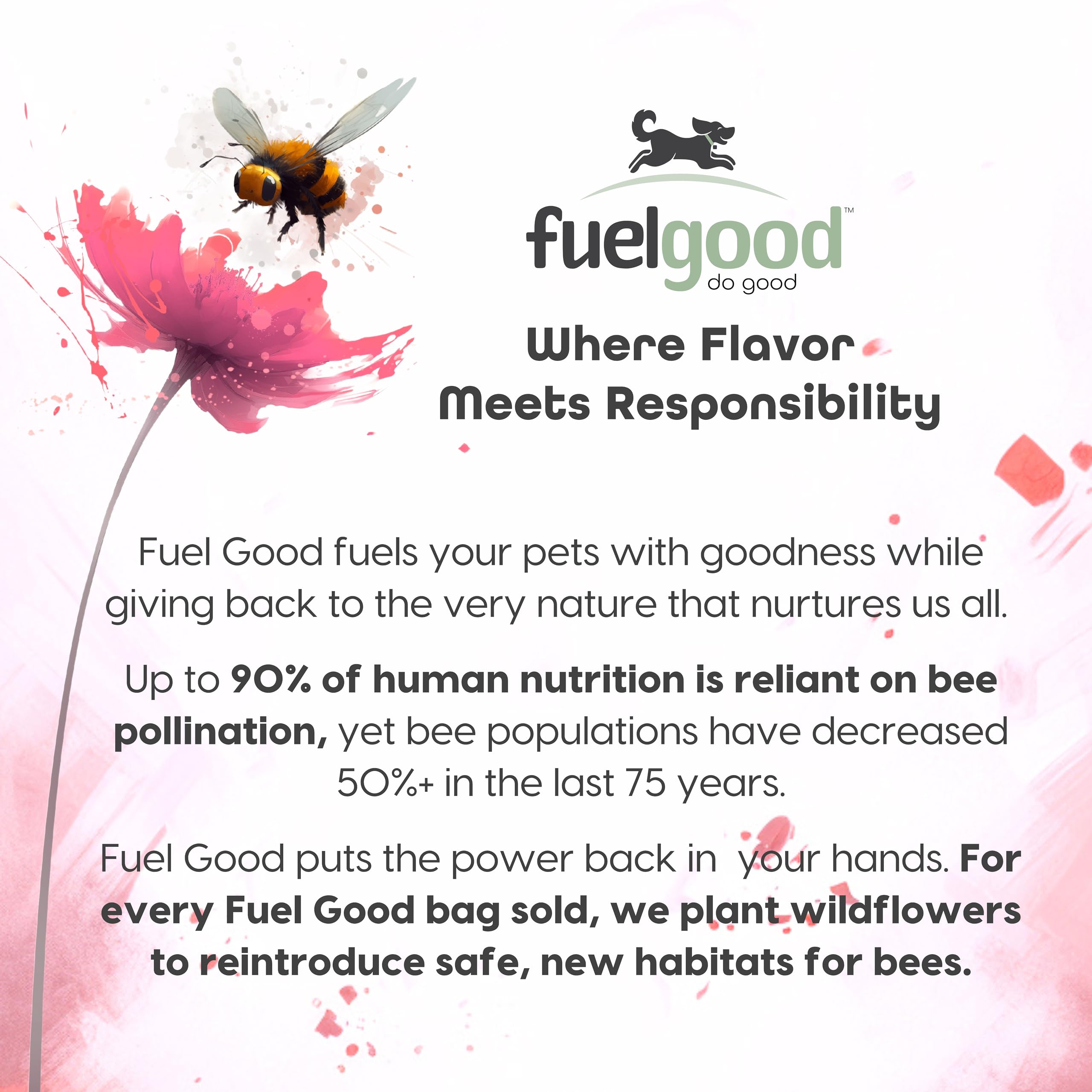 Premium High Protein Dog Treats - Grain Free, All Natural Pork, Bacon & Banana Recipe (11oz) - Healthy Training Snacks for Small & Large Breeds - Perfect for Obedience Training & Positive Reinforcement - Great for Hiking, Travel, Daily Rewards & Outdoor Adventures with Your Dog