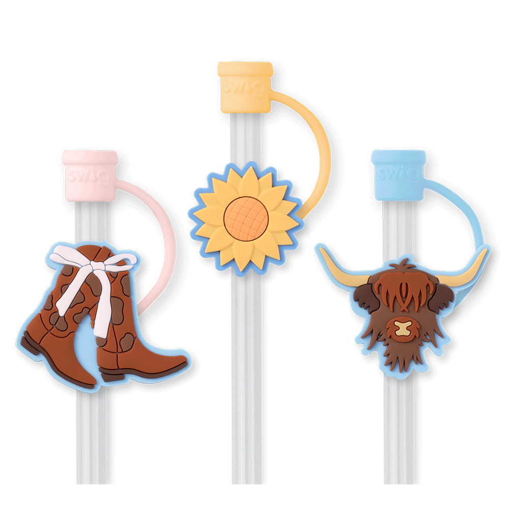Cowgirl Coquette Straw Topper Set - Western Style Hat Accessories for Women | Perfect for Country Music Festivals, Rodeos & Cowgirl Themed Parties