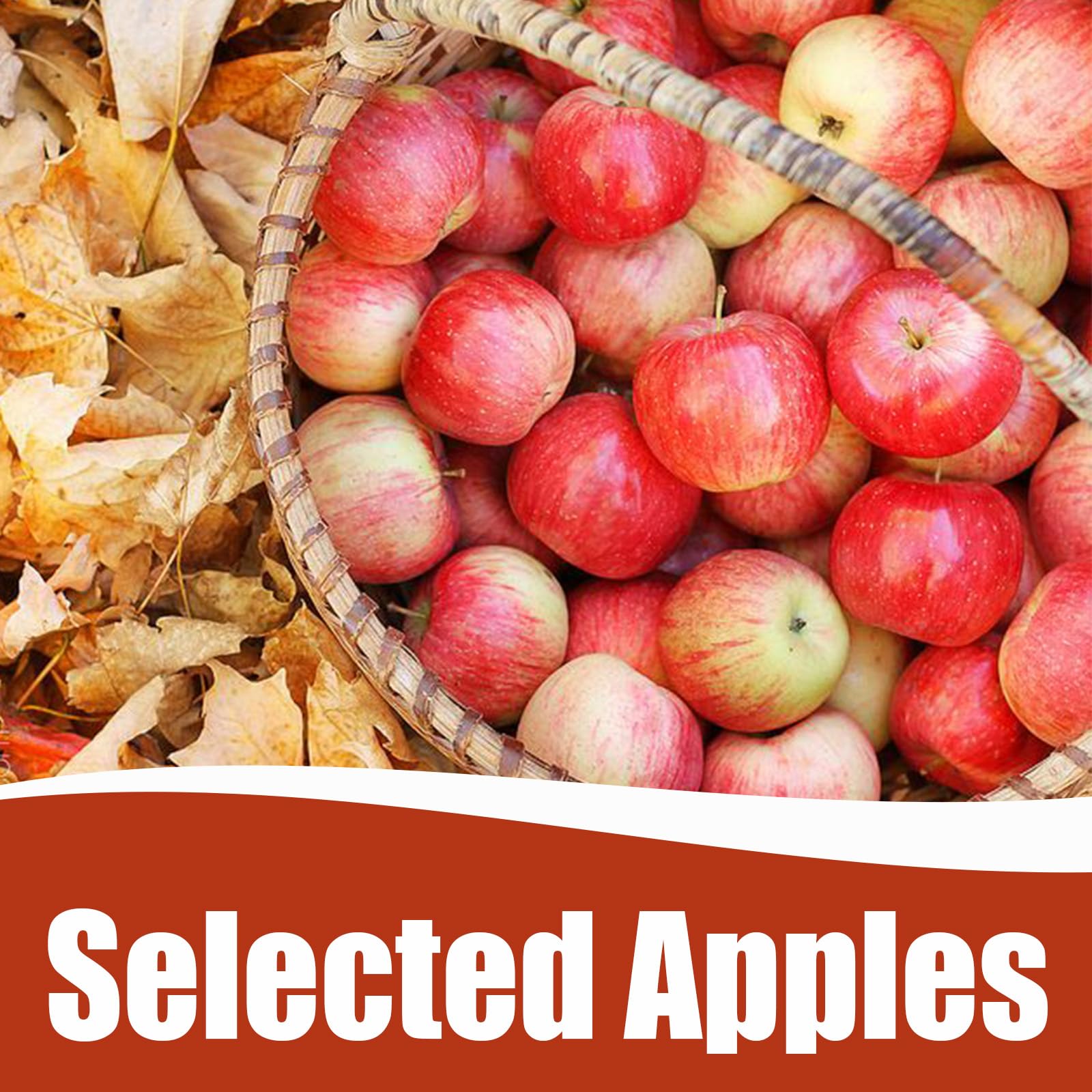 Premium Dried Apple Slices 10.58oz (300g) | Vegan, No Sugar Added Dehydrated Fruit Snacks | Freeze-Dried Crispy & Light | Perfect for Baking, Cake Decor, Cocktail Garnish & DIY Crafts | Healthy On-the-Go Snack for Work, School & Hiking