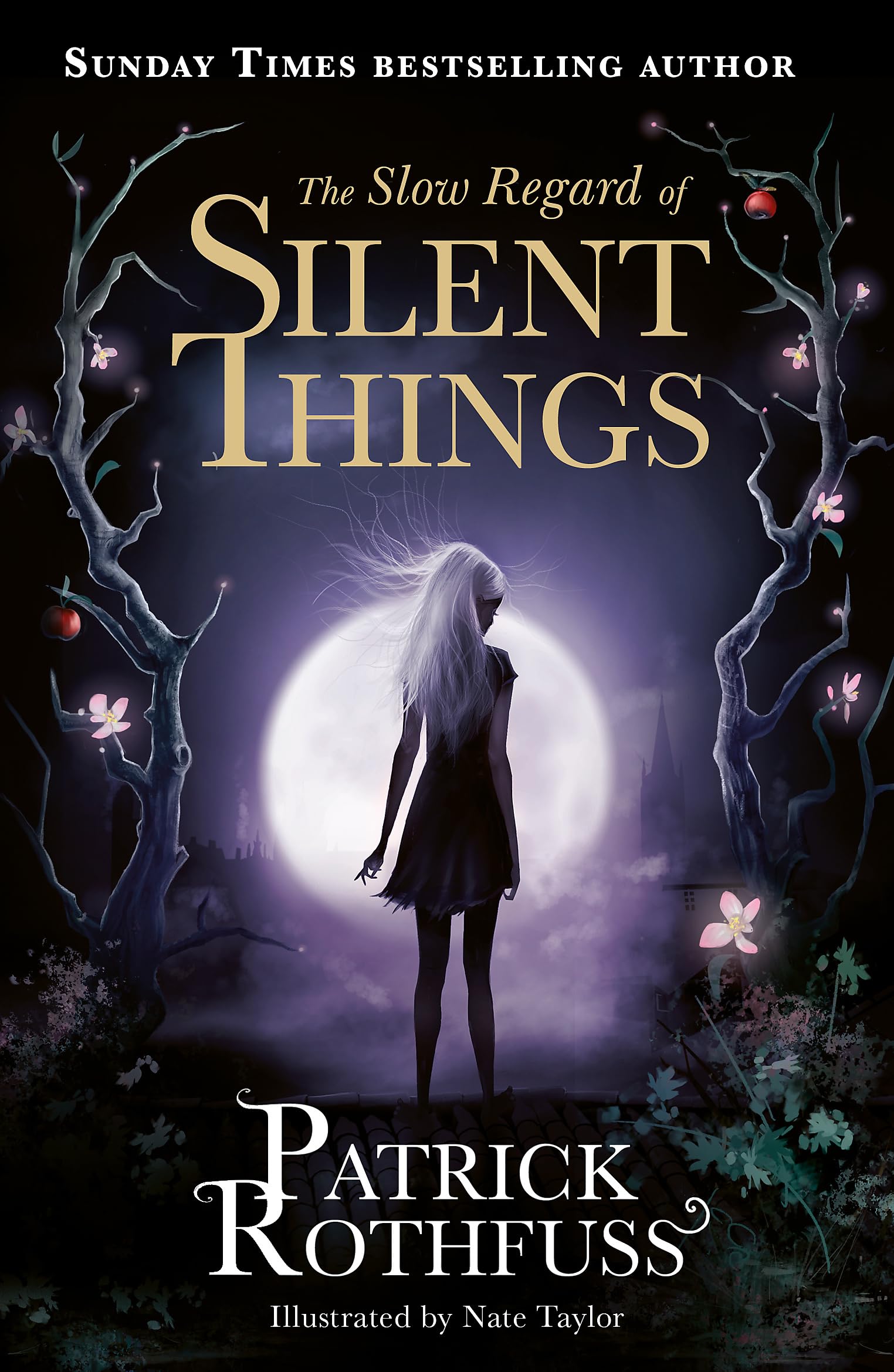 The Slow Regard of Silent Things: A Kingkiller Chronicle Novella by Patrick Rothfuss | Paperback Fantasy Book | Perfect for Fantasy Lovers & Book Club Discussions