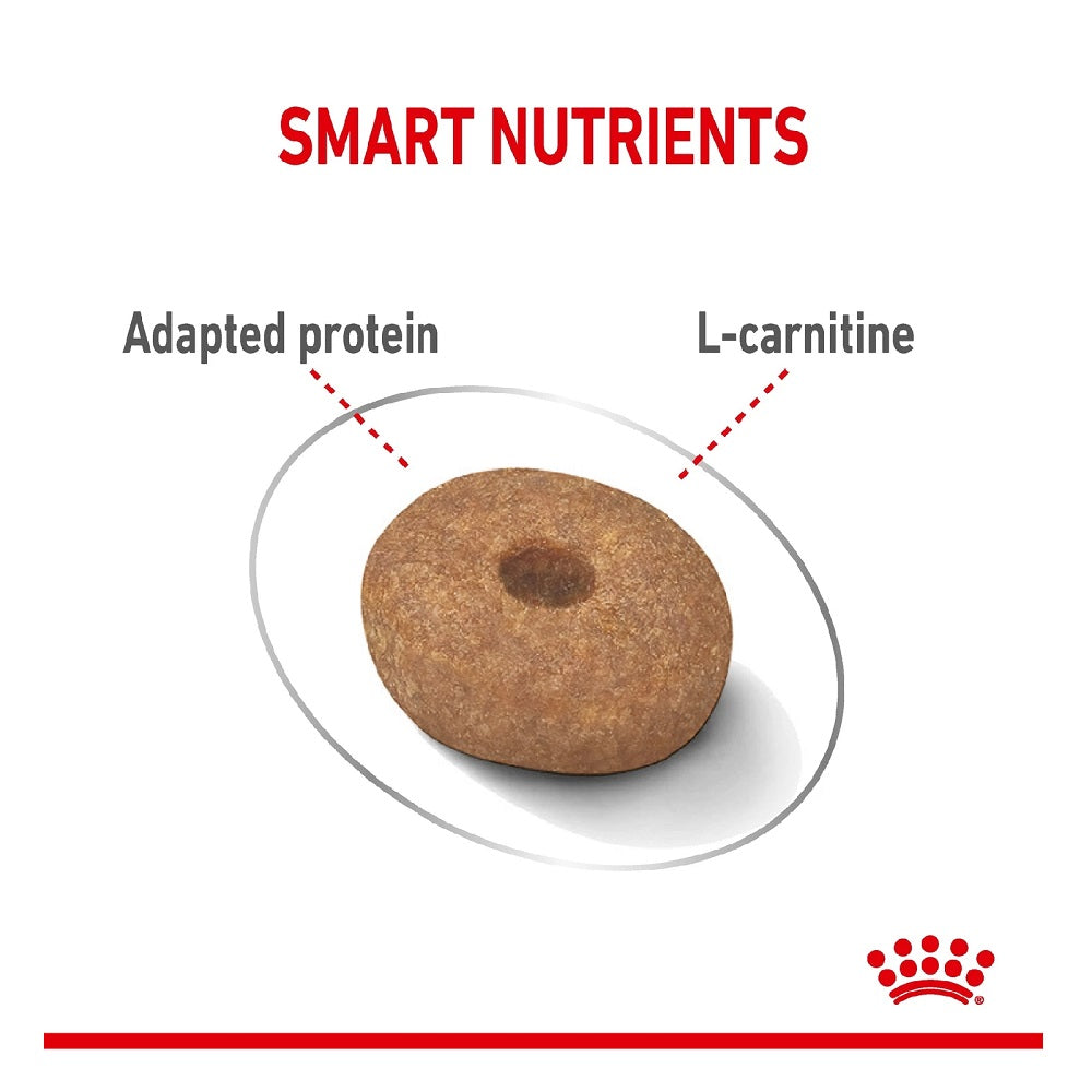 CCN Mini Lightweight Dry Dog Food for Small Breeds - Healthy & Nutritious Kibble for Puppies and Adult Dogs - Perfect for Travel, Training, and Daily Feeding