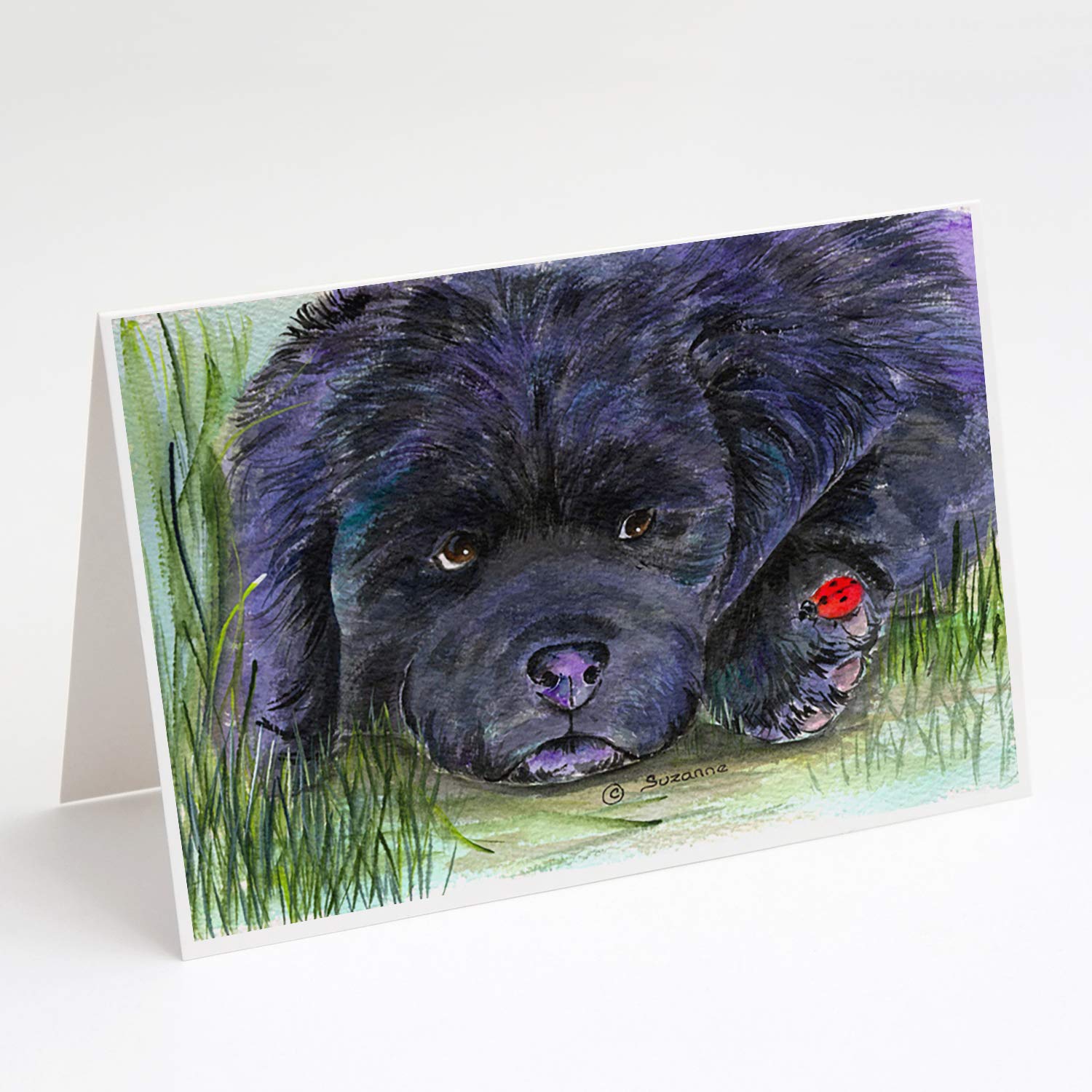 Newfoundland Greeting Cards & Envelopes Set - Pack of 8 Blank A7 Note Cards (5x7 inches) for Birthdays, Thank You Notes & Special Occasions | Whimsical Design by Caroline's Treasures