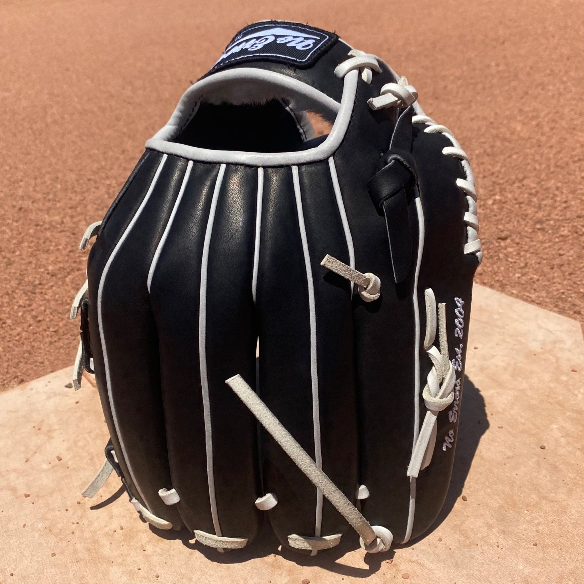 NOEI WEB Spiral DWC Baseball Fielder's Glove 004 - Premium Leather Glove for Baseball & Softball Players, Ideal for Training & Games