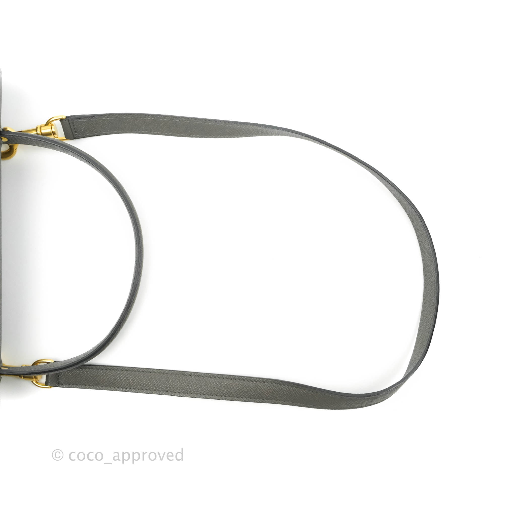 Celine Mini Belt Bag in Grey Grained Calfskin with Gold Hardware - Stylish Crossbody Purse for Women, Perfect for Work, Travel & Everyday Use