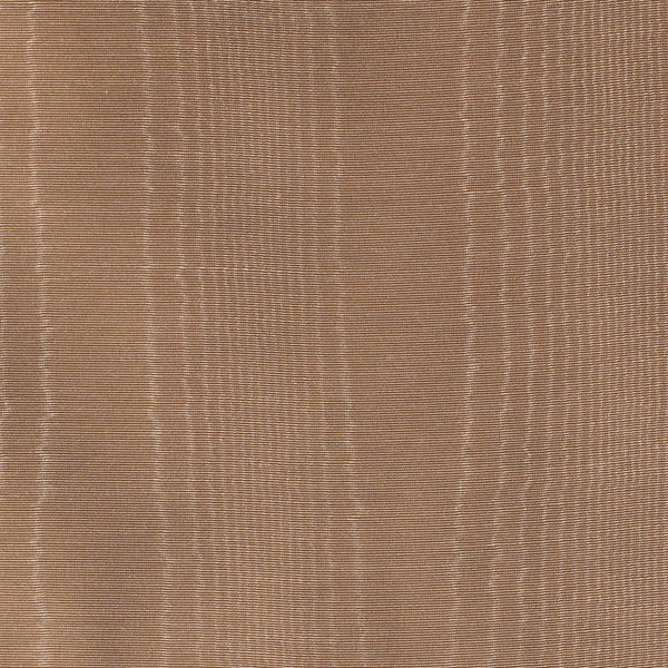Pecan Shell