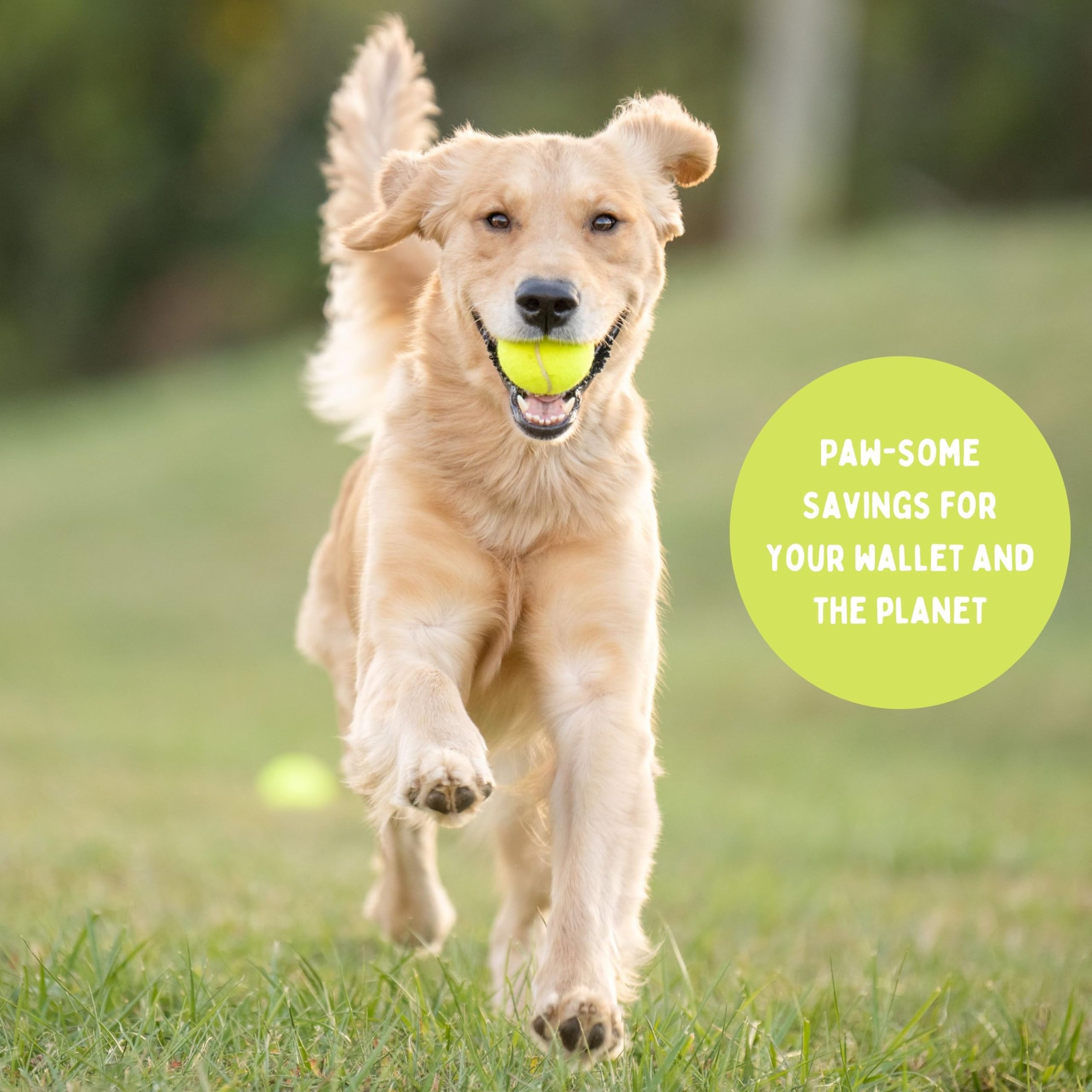 **100 Used Tennis Balls for Dogs - Bulk Recycled Dog Tennis Balls | Supports USA Tennis Ball Recycling NonProfit | Perfect for Fetch, Training & Playtime**