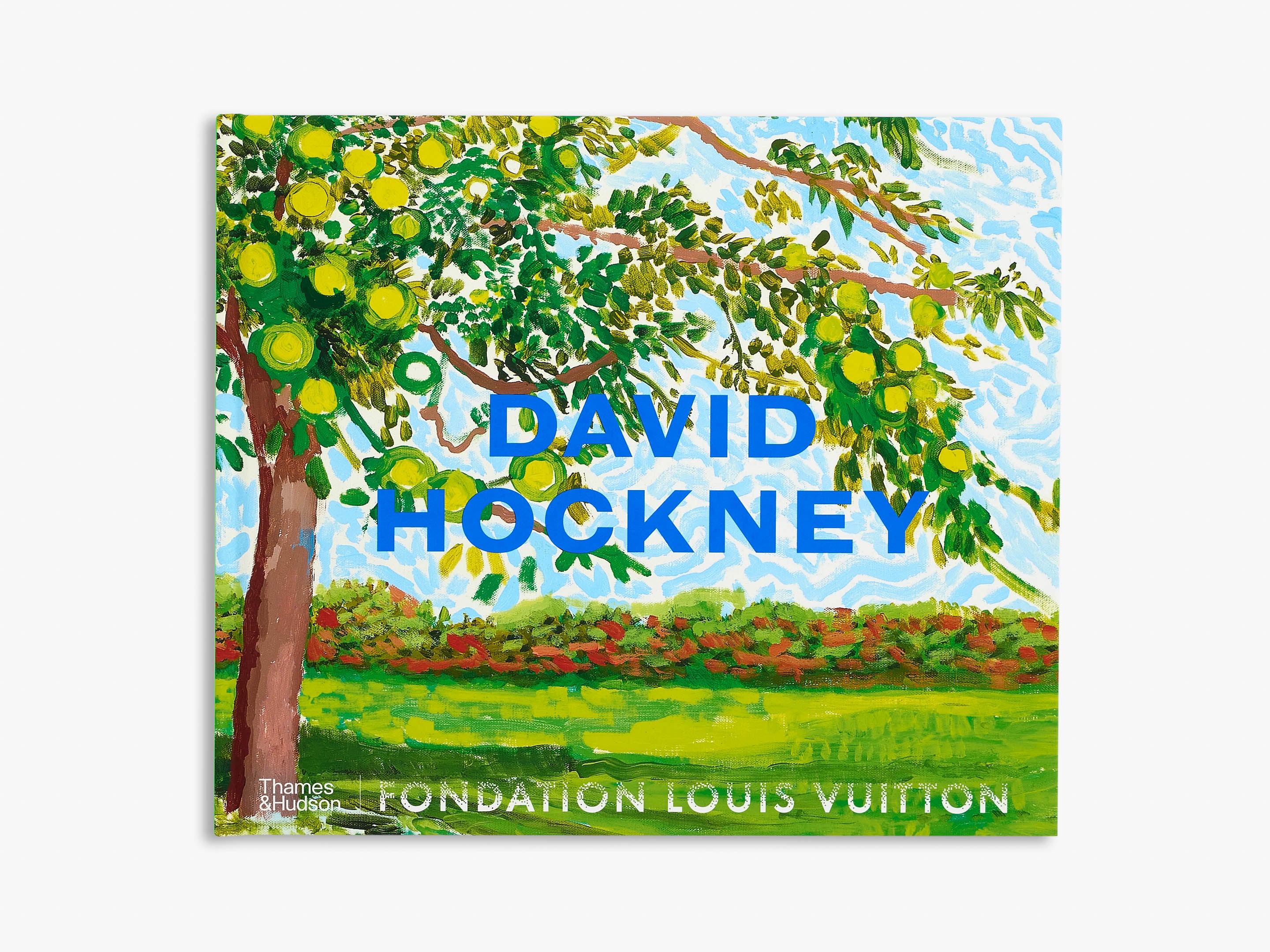 David Hockney Art Prints - High Quality Wall Decor for Living Room, Bedroom & Office | Famous British Artist Paintings for Home & Gift