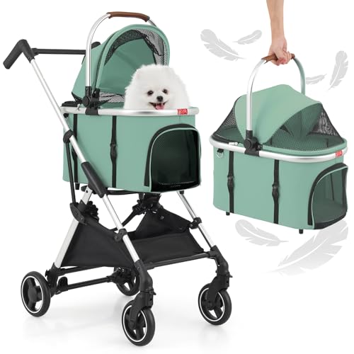 Mint Green, Silver Frame