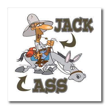 3dRose Jackass Jack Riding an Ass Donkey Heat Transfer Iron-On - 10x10 Inch - Perfect for T-Shirts, Tote Bags & DIY Crafts