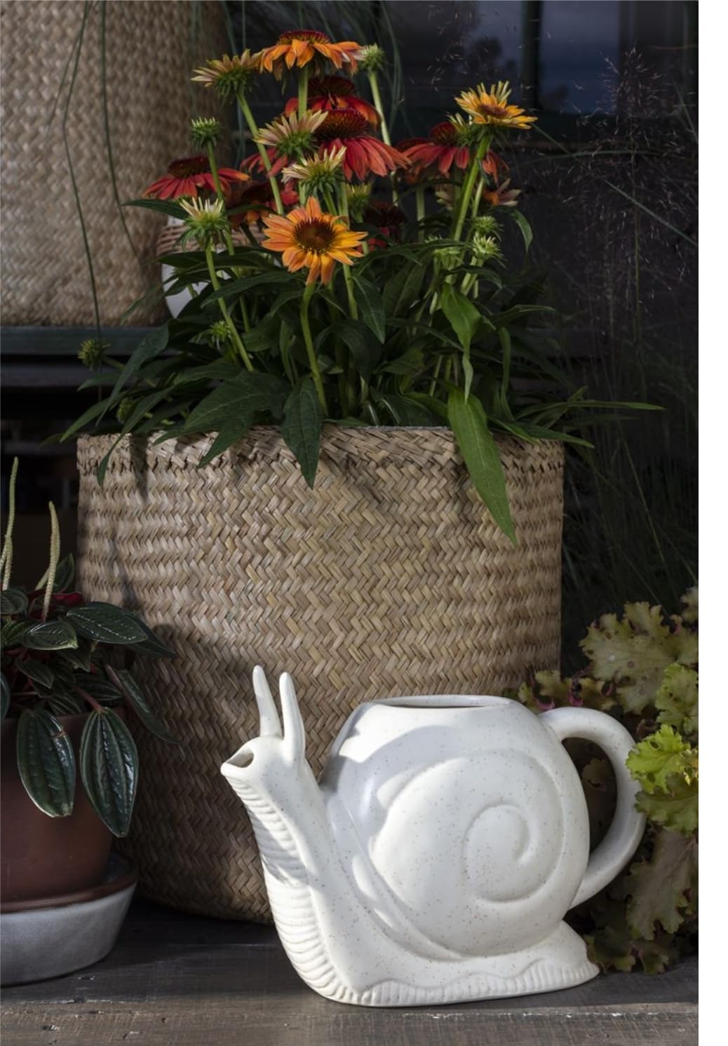 Slow Poke Snail Watering Can - Adorable Garden Watering Pot for Plants, Flowers & Herbs - Perfect Gift for Garden Lovers & Kids Outdoor Activities