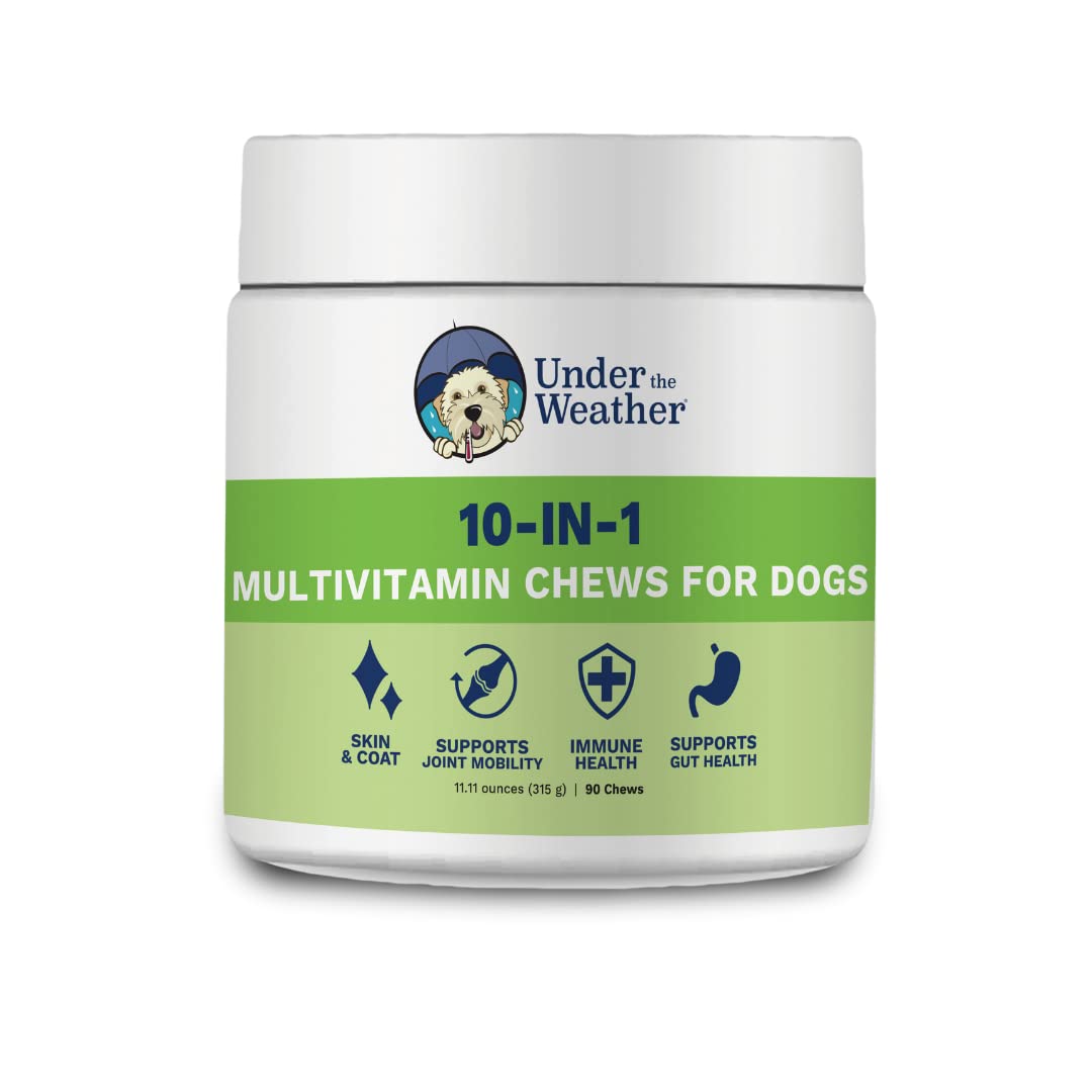 Under the Weather Pet Supplement Dog Chews | Vet Formulated Dog Chew Supplements for Immune Support & Digestive Health - Perfect for Anxious, Senior, or Recovering Dogs