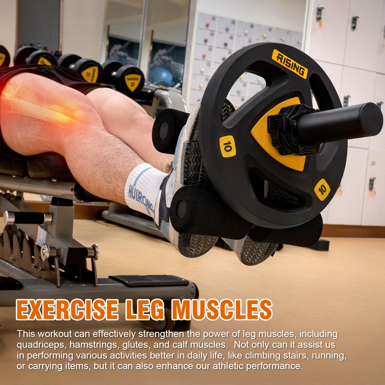 AmazeFan Tib Bar - Premium Tibialis Trainer for Leg Workout & Strength Training | Knees Over Toes Tibia Dorsi Calf Machine for Calves, Shins & Ankles | Fits 2