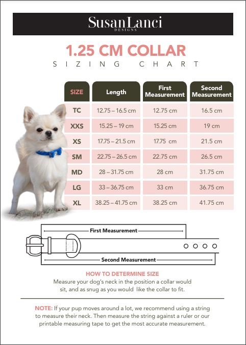 Big Bow 3-Row Giltmore Dog Collar for Small & Medium Dogs - Stylish & Comfortable Pet Accessory for Daily Walks, Training & Fashion Outfits