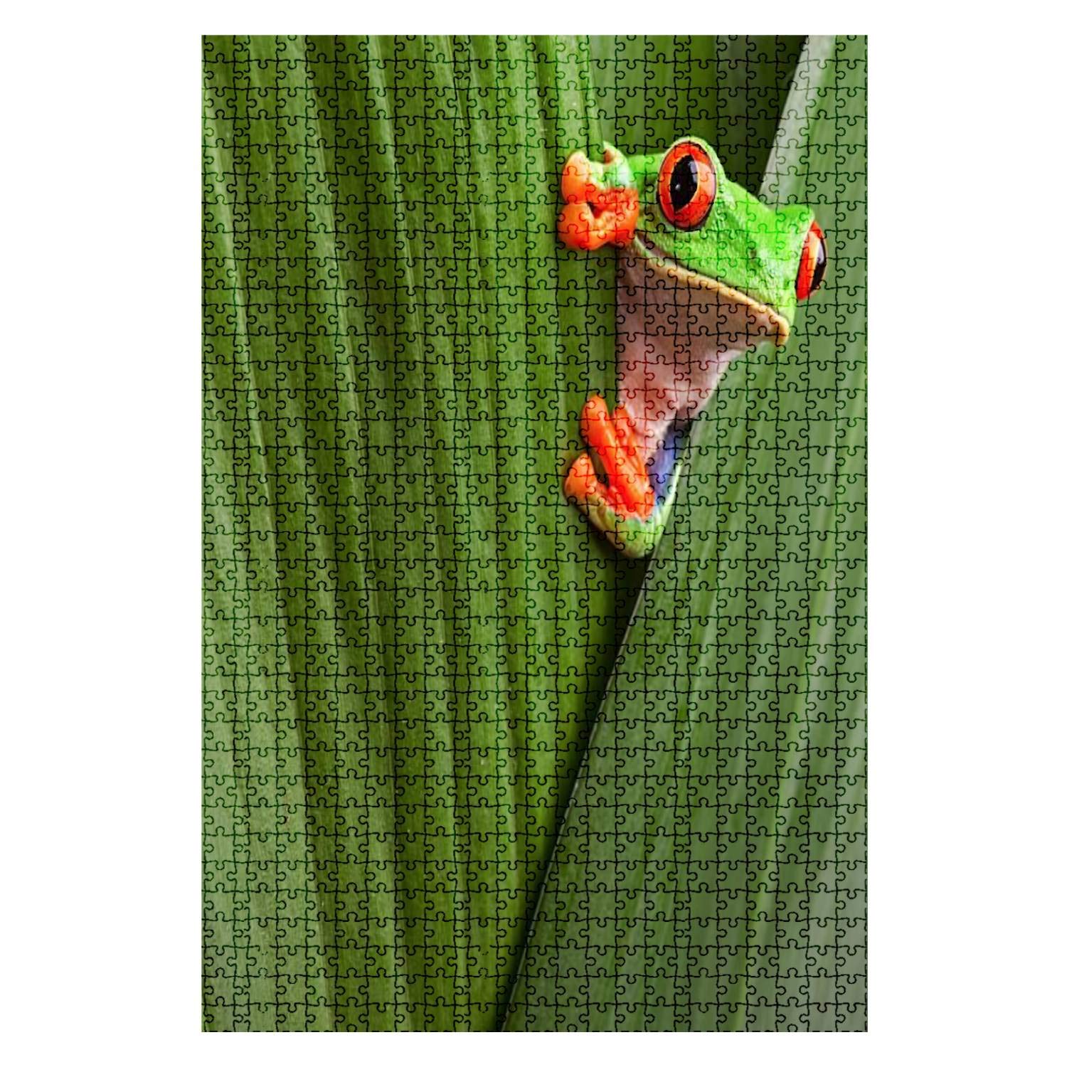 1000-Piece Wooden Jigsaw Puzzle - Red-Eyed Tree Frog Nature Scene | Educational DIY Toy for Adults & Kids | Perfect for Family Game Night & Classroom Activities