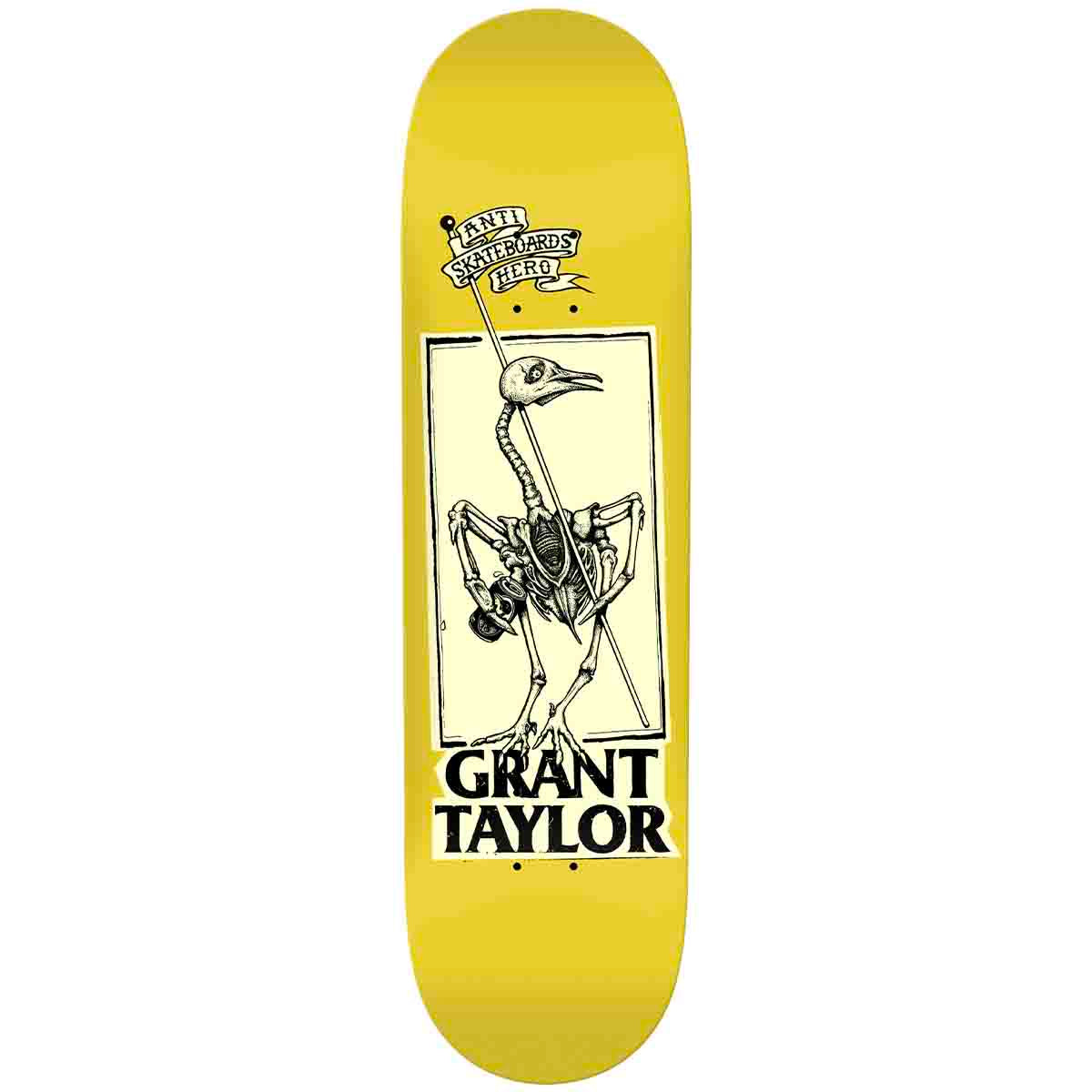 Anti Hero Grant Taylor Pigeon Vision 8.25 Skateboard Deck - Premium Skateboard for Street & Park Riding | Durable Deck for Skaters & Collectors