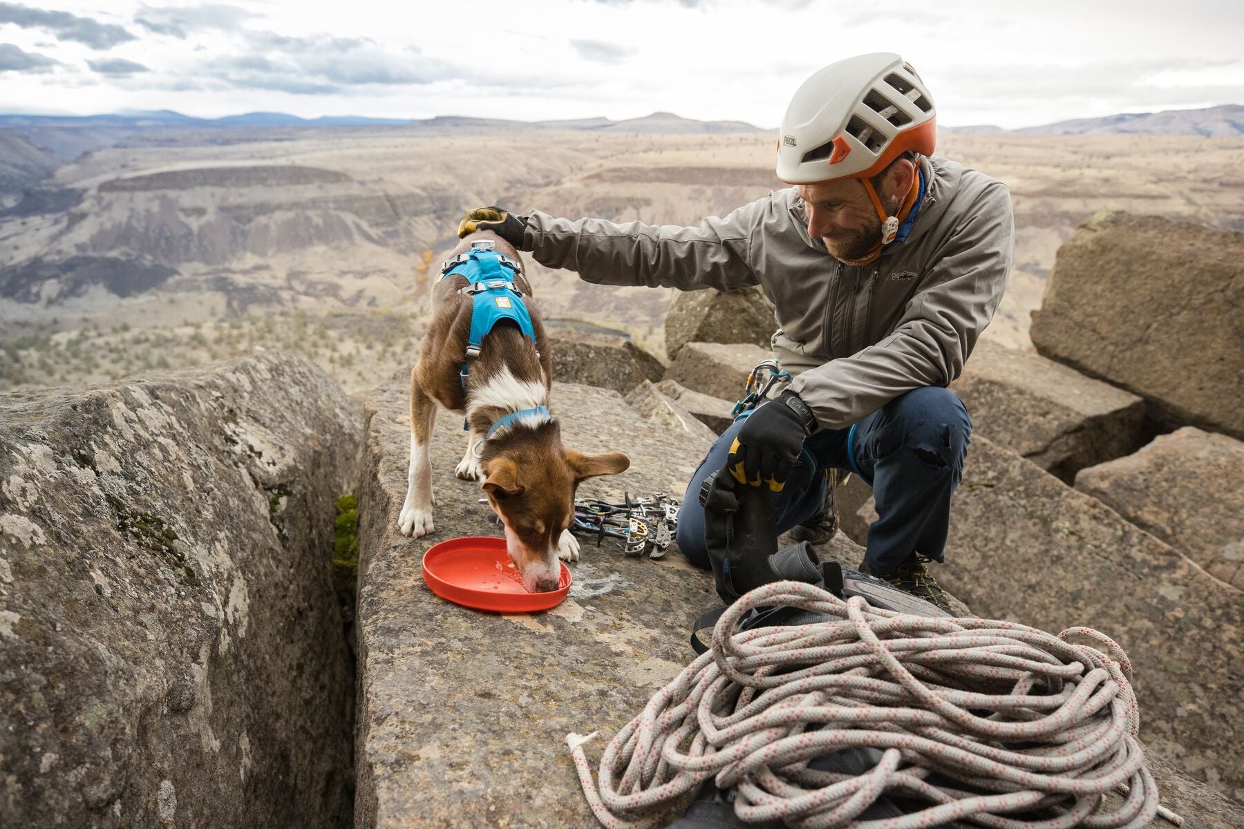 Ruffwear Flagline Harness® - Adjustable Multi-Use Dog Harness in Blue Dusk | Perfect for Hiking, Running & Outdoor Adventures