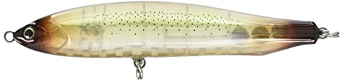 Squid