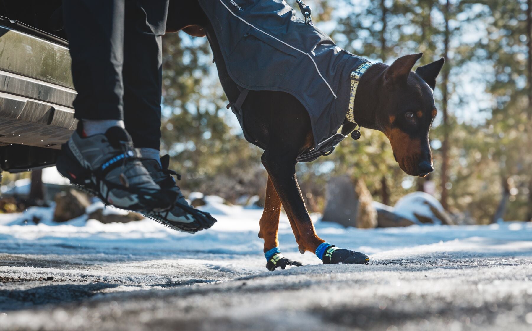 Ruffwear Bark’n Boot™ Dog Boots - Comfortable & Protective Dog Socks in Earth Brown for Hiking, Running & Outdoor Adventures