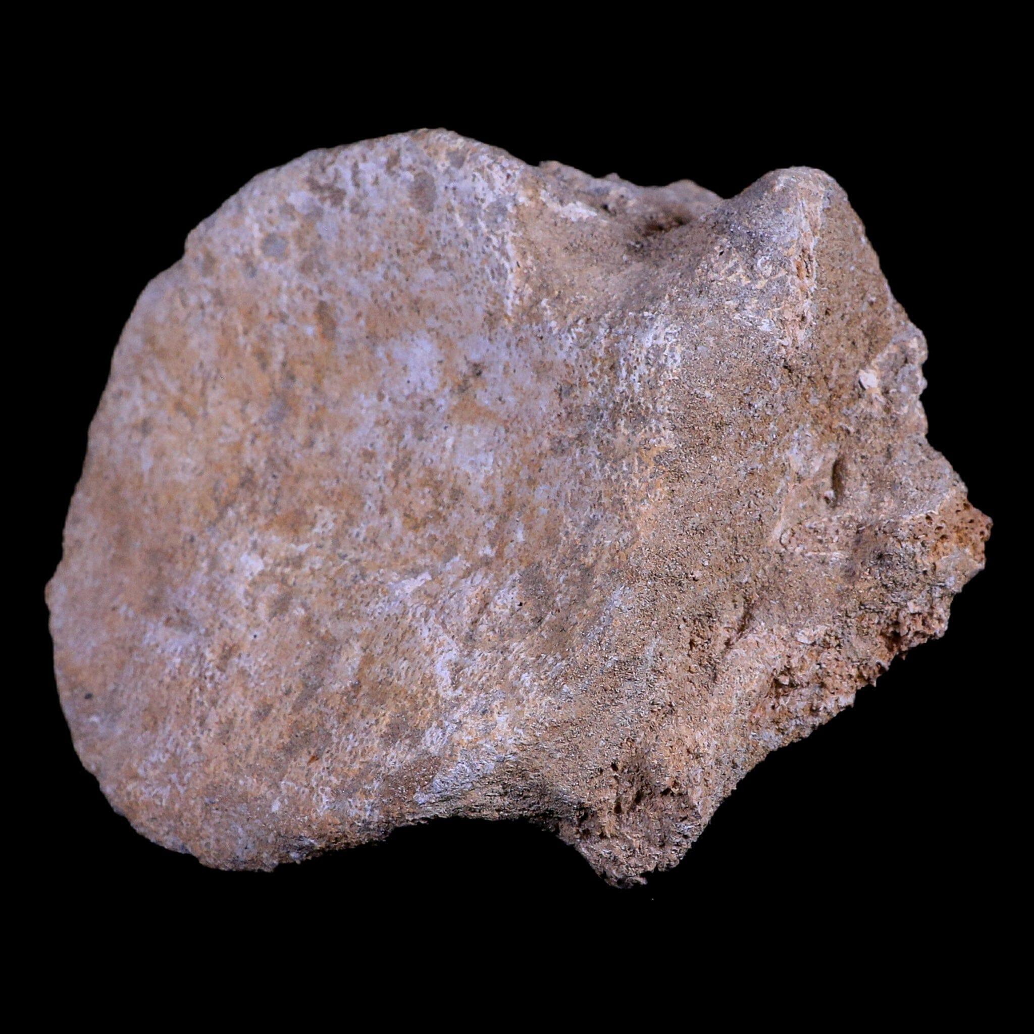 XL 5.3