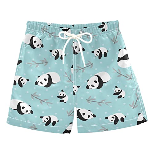 01-panda